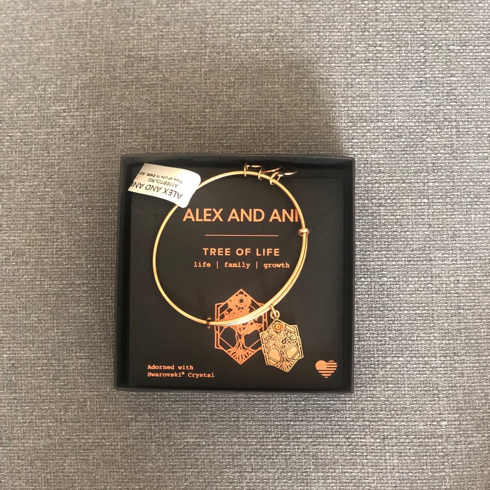 Alex and ani bracelet